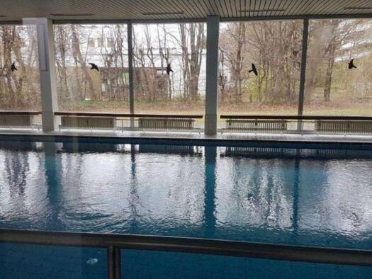 Wohnung zur Miete 1.100 € 1,5 Zimmer 44 m² Geschoss 4/50 frei ab 01.05.2026 Sendling-Westpark München 81369