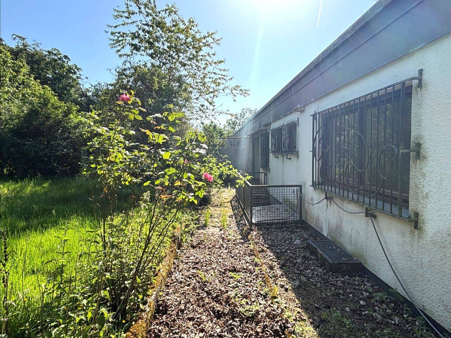 Bungalow zum Kauf - Ansicht 6