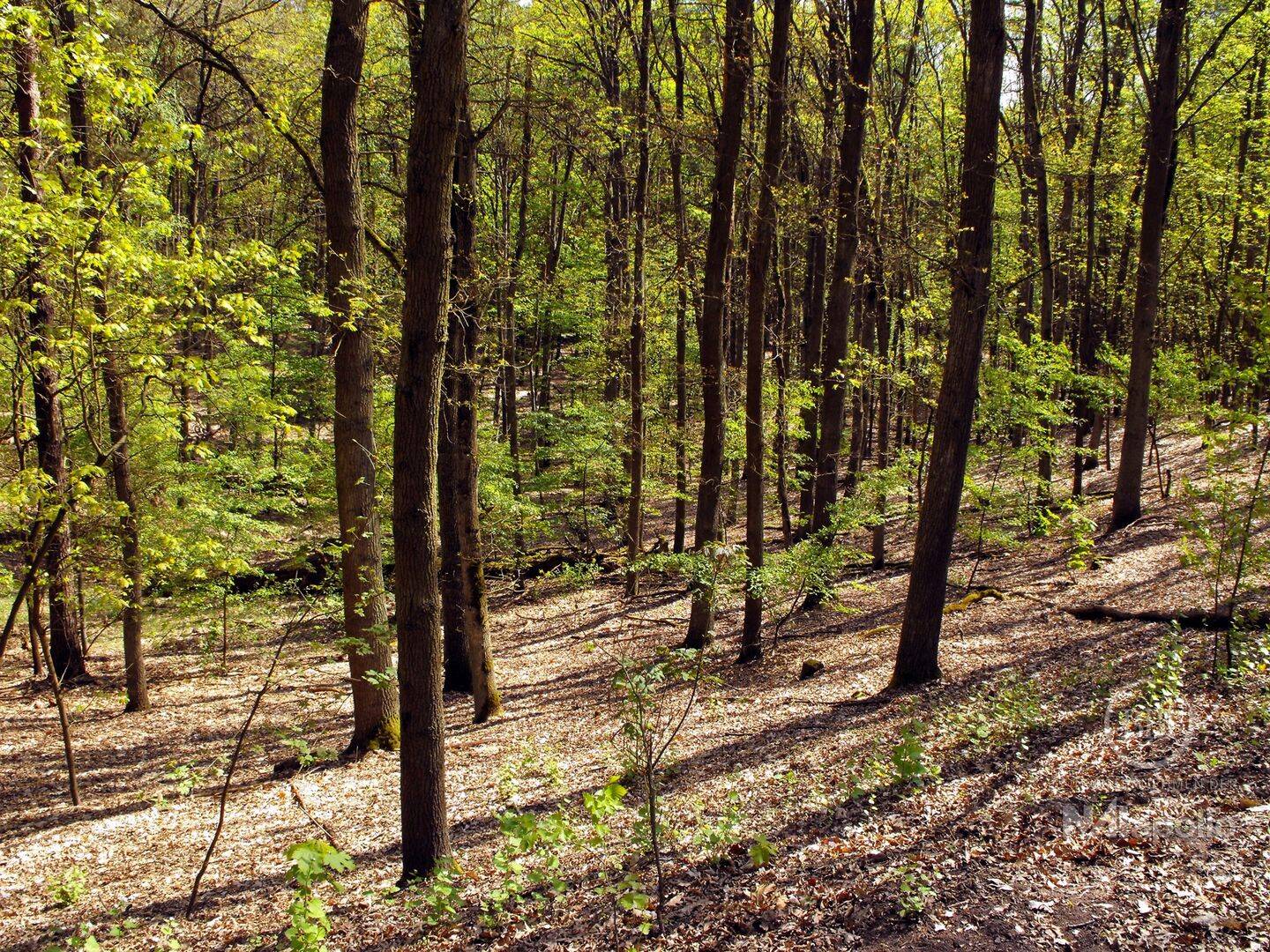 Property thumbnail 20