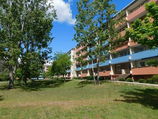 Wohnung zur Miete 210 € 1 Zimmer 39,6 m² EG Gertraudenstraße 38 Hohenstücken Brandenburg an der Havel 14772