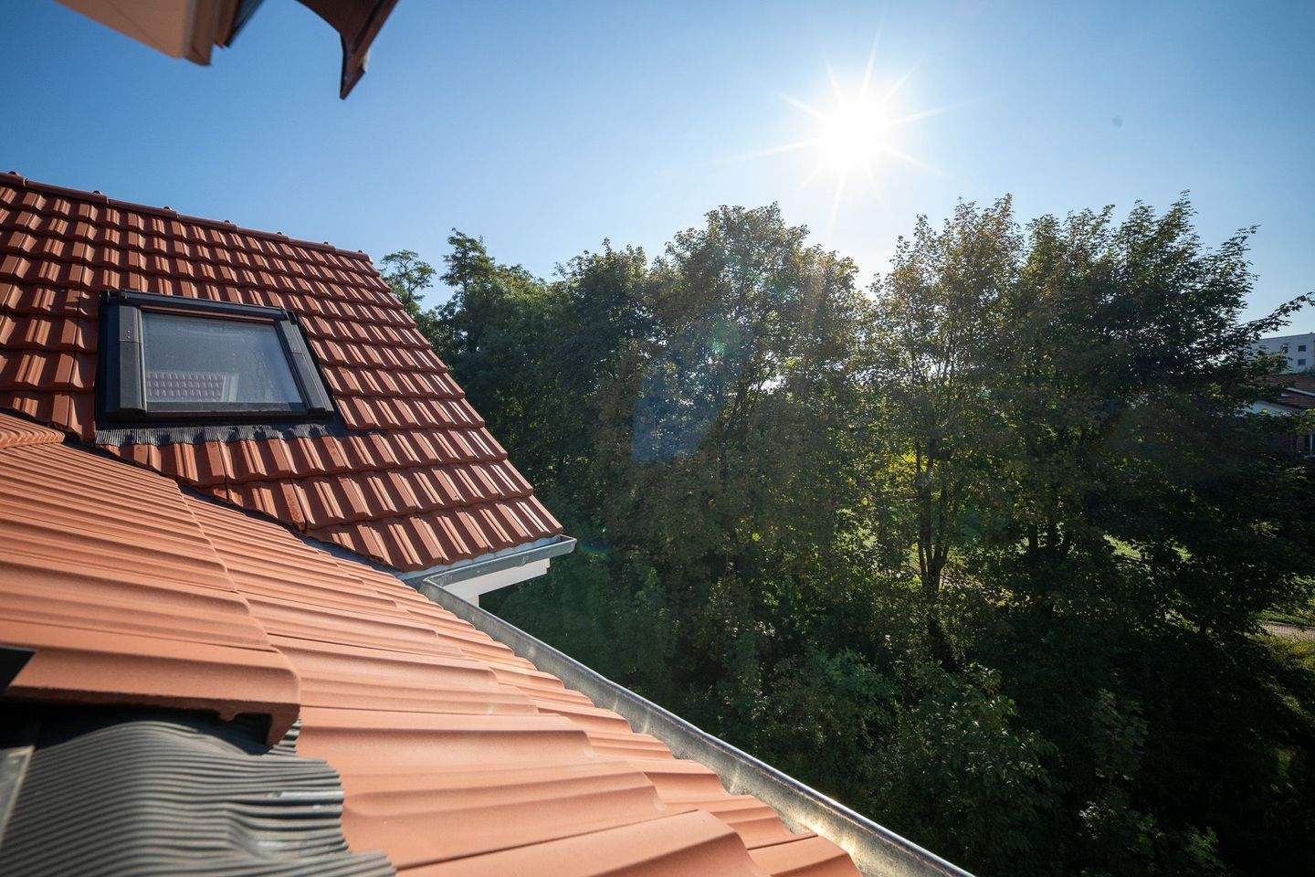 Property thumbnail 36