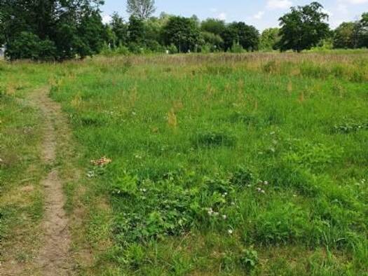 Grundstück zum Kauf 369 m² Grundstück Bergen-Enkheim Bergen-Enkheim 60388