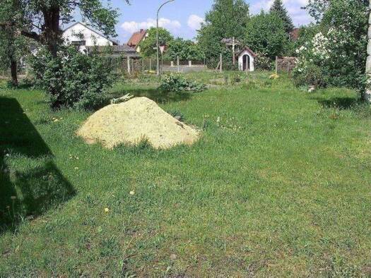Grundstück zum Kauf 235.000 € 1.132 m² Grundstück Wachenroth Wachenroth 96193