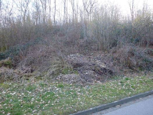 Grundstück zum Kauf 54.000 € 2.407 m² Grundstück Brüchermühle Reichshof / Brüchermühle 51580