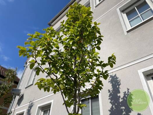 Wohnung zum Kauf 358.650 € 3 Zimmer 120,9 m² 3 Geschosse frei ab sofort Neustadt Neustadt an der Aisch 91413