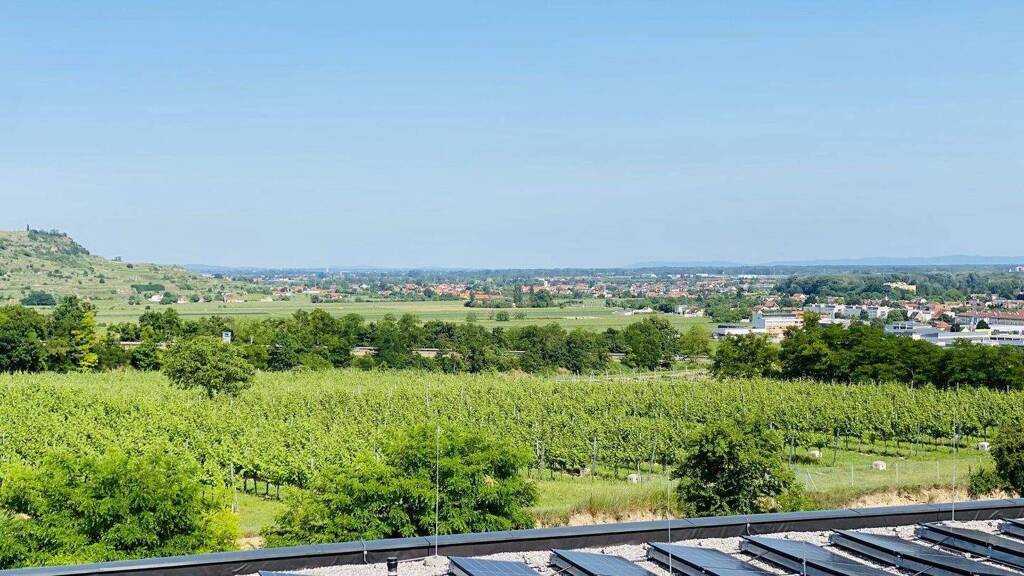 Wohnung zur Miete - Erstbezug 1.052 € 3 Zimmer 69,9 m² 2. Geschoss Bründlgraben 45A Krems an der Donau 3500