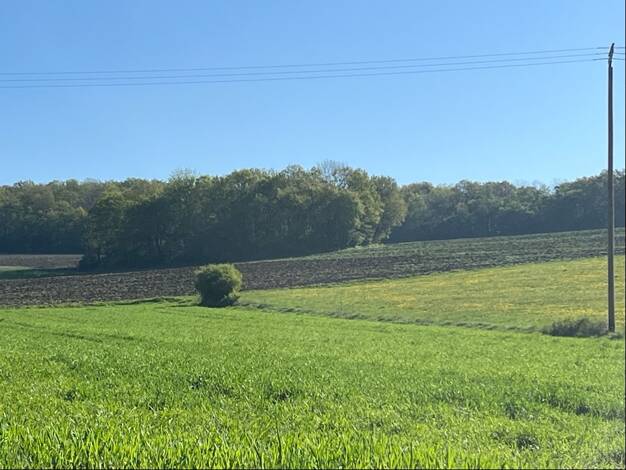 Land-/Forstwirtschaft zum Kauf 65.000 € 22.611 m² Grundstück Birtlingen 54634