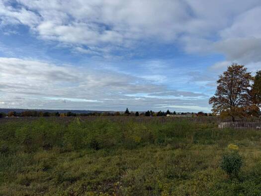 Grundstück zum Kauf 306.700 € 986 m² Grundstück Weinböhla 01689