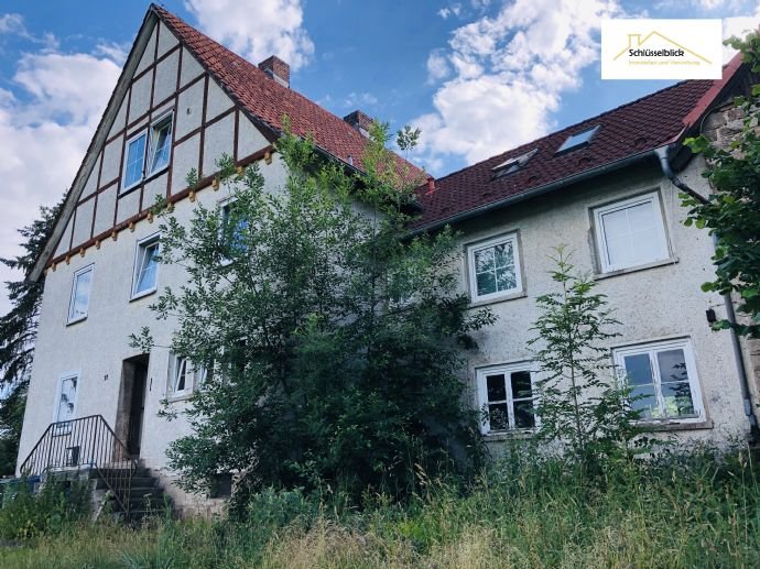 Bauernhaus zum Kauf 310.000 € 7 Zimmer 315 m²<br/>Wohnfläche 12.000 m²<br/>Grundstück Helmscheid Korbach 34497