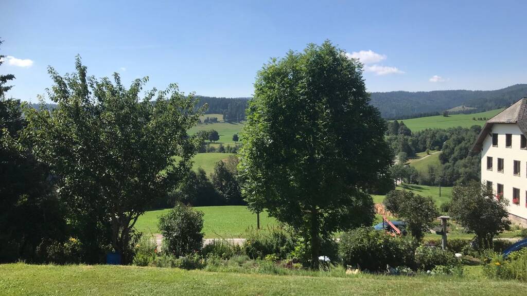 Wohnung zum Kauf 139.000 € 2 Zimmer 55 m² UG frei ab sofort Beerirainweg 2 Riggenbach Bernau im Schwarzwald 79872