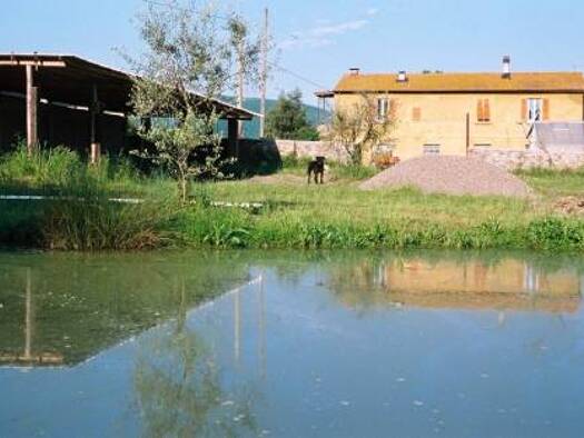 Einfamilienhaus zum Kauf 750.000 € 7 Zimmer 500 m² 10.000 m² Grundstück Canneto - Monteverdi 56040