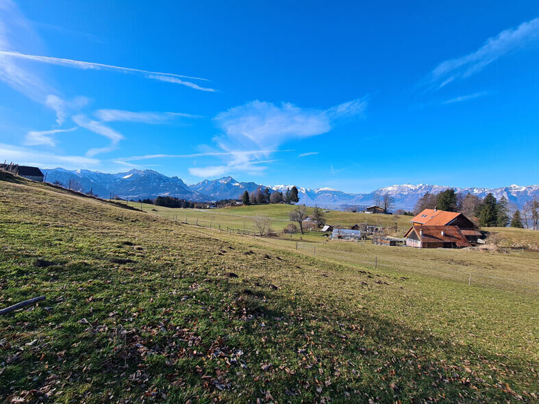 Bauernhaus zum Kauf 1.190.000 € 5 Zimmer 227,4 m²<br/>Wohnfläche 20.608 m²<br/>Grundstück Übersaxen 6834