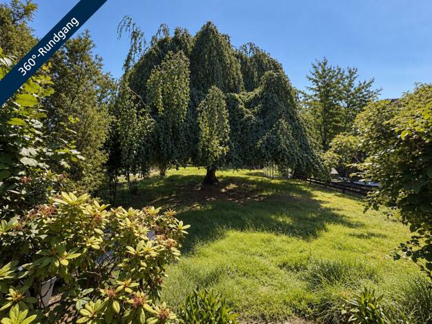 Mehrfamilienhaus zum Kauf 429.000 € 8 Zimmer 187,1 m² 1.054 m² Grundstück Hiesfeld Dinslaken 46539