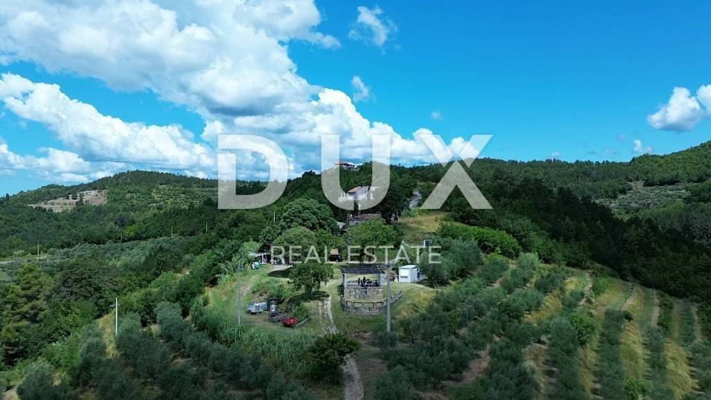 Land-/Forstwirtschaft zum Kauf 1.550.000 € Motovun