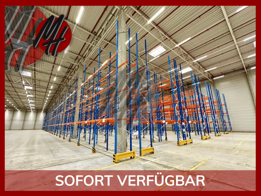 Halle/Industriefläche zur Miete 6 € 1.200 m² Lagerfläche Biebesheim 64584