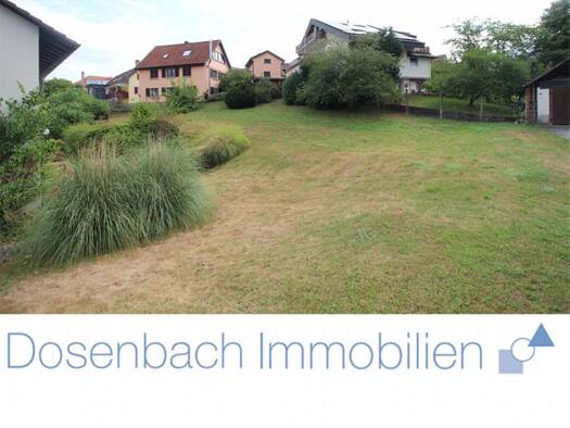 Grundstück zum Kauf 265.000 € 877 m² Grundstück Rümmingen 79595