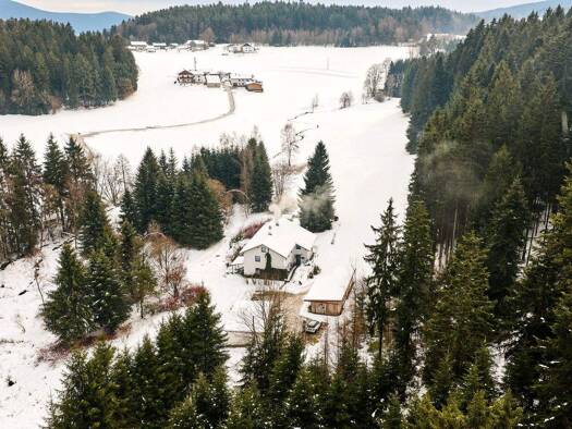 Einfamilienhaus zum Kauf 9 Zimmer 222 m² 21.000 m² Grundstück frei ab sofort Haberröhren Gotteszell 94239