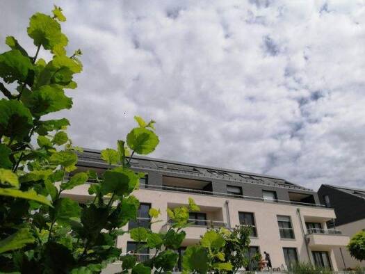 Wohnung zur Miete 1.178 € 2 Zimmer 105 m² 3 Geschosse frei ab 01.12.2026 Guxhagen Guxhagen 34302