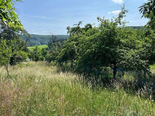 Grundstück zum Kauf 209.000 € 1.473 m² Grundstück Niedermirsberg Ebermannstadt / Niedermirsberg 91320