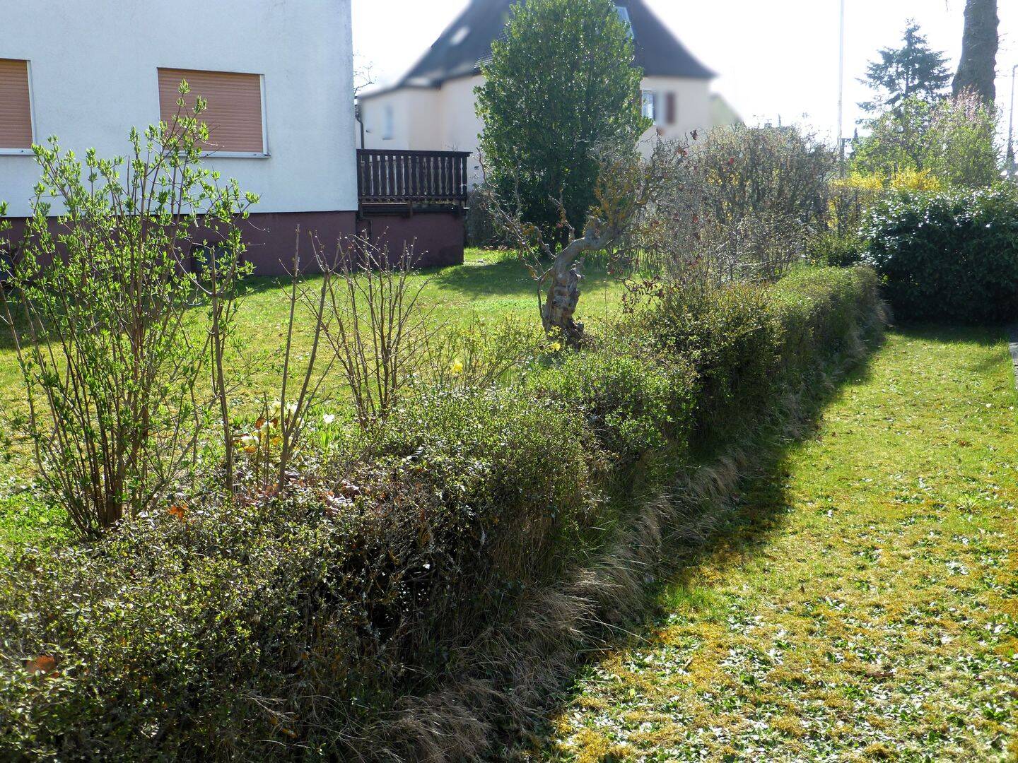 Einfamilienhaus zum Kauf - Ansicht 6