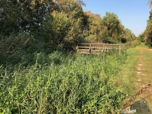 Grundstück zum Kauf 399.000 € 1.307 m² Grundstück Margarethen am Moos 2433