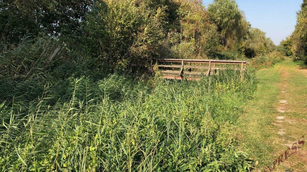 Grundstück zum Kauf 399.000 € 1.307 m² Grundstück Margarethen am Moos 2433