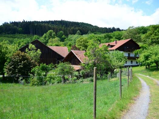 Mehrfamilienhaus zum Kauf 659.000 € 266 m² 51.850 m² Grundstück Wiesenfelden 94344