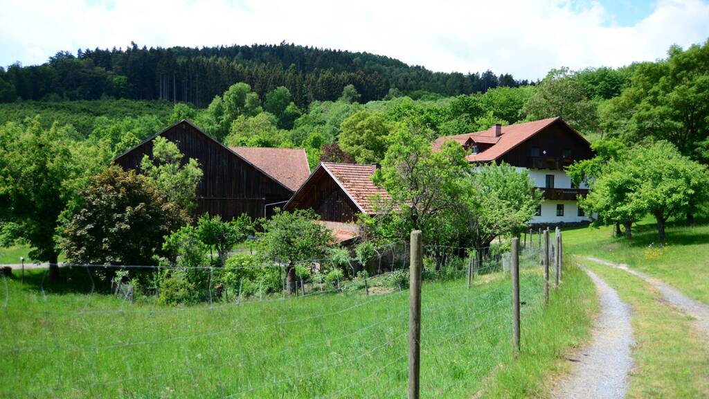 Mehrfamilienhaus zum Kauf 659.000 € 266 m² 51.850 m² Grundstück Wiesenfelden 94344