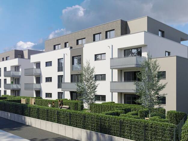 Wohnung zur Miete - Erstbezug 824 € 2 Zimmer 61,9 m² EG frei ab 01.11.2026 Majolikaweg 11 Rheinbach 53359