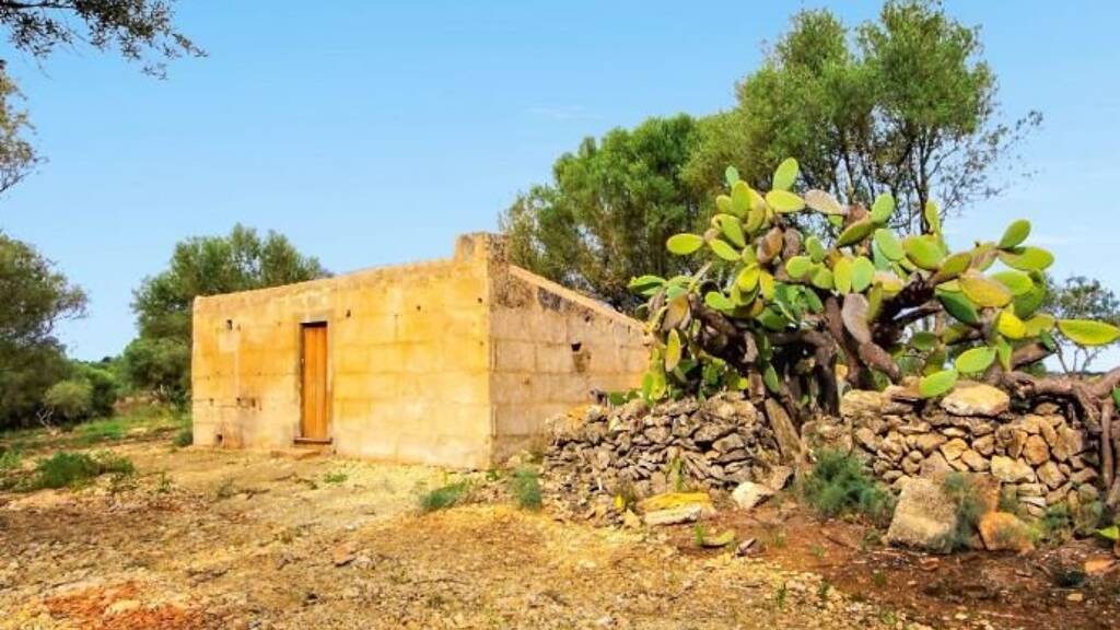 Haus zum Kauf 150.000 € 3 Zimmer 17.685 m² Grundstück Manacor