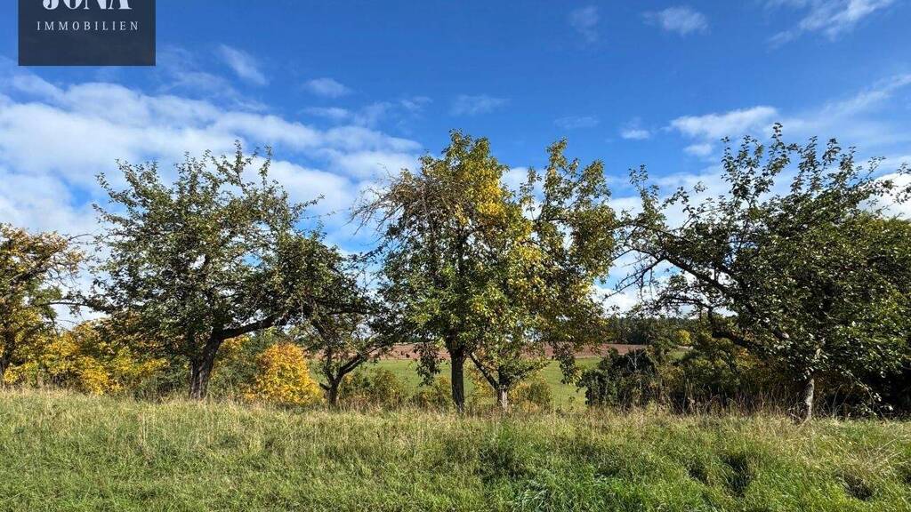 Grundstück zum Kauf 139.000 € 1.868 m² Grundstück Kemeritz Thurnau / Kemeritz 95349