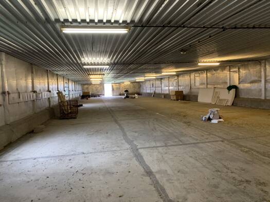 Lagerhalle zur Miete provisionsfrei 3.000 € 1.000 m² Lagerfläche teilbar ab 1.000 m² Sora Klipphausen 01665