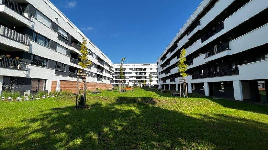 Wohnung zur Miete 620 € 2 Zimmer 54 m² EG Heinrich-Schütz Str. 14 Lutherplatz Halle (Saale) 06110