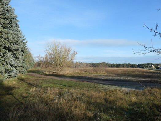 Grundstück zum Kauf 79.000 € 4.213 m² Grundstück frei ab sofort Neuendorf Lübben (Spreewald) 15907
