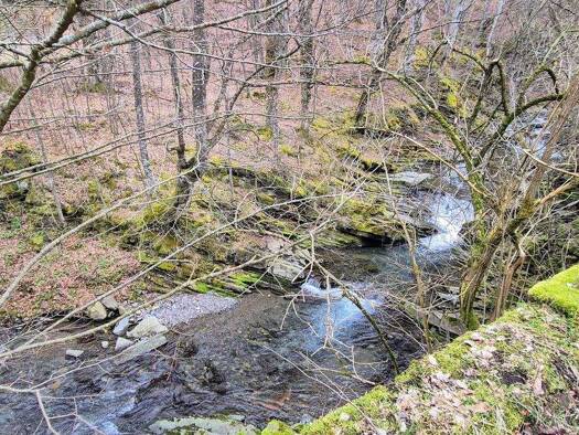 Landwirtschaftliche Fläche zum Kauf 75.000 € Chiflik