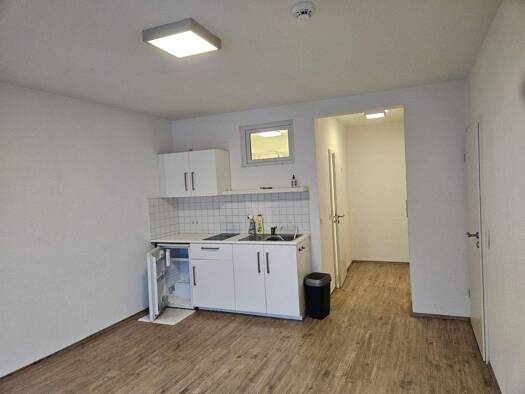 Studio zur Miete 560 € 1 Zimmer 30 m² 3. Geschoss Quadrate Mannheim 68161