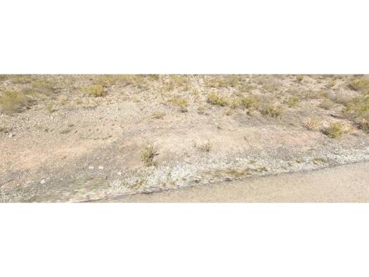 Acker-/Waldstück zum Kauf 42.000 € Orihuela 03119