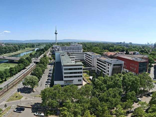 Wohnung zur Miete 725 € 1 Zimmer 32 m² Collinistraße 5 Oststadt Schwetzingerstadt / Oststadt 68161