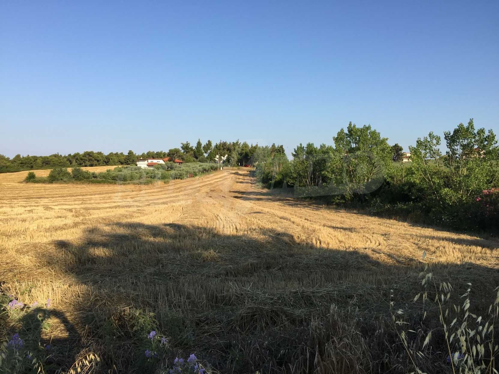 Landwirtschaftliche Fläche zum Kauf 185.000 € Nea Fokea