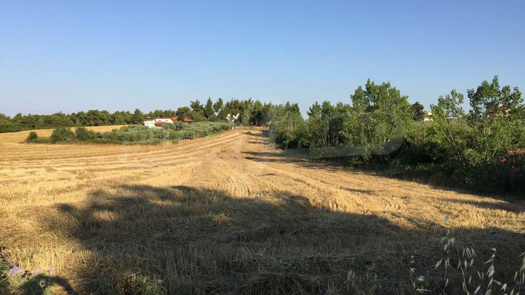 Landwirtschaftliche Fläche zum Kauf 185.000 € Nea Fokea