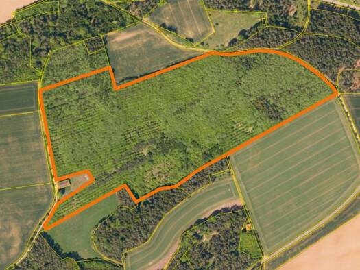 Land-/Forstwirtschaft zum Kauf 170.000 € 134.723 m² Grundstück Drosendorf Hollfeld 96142