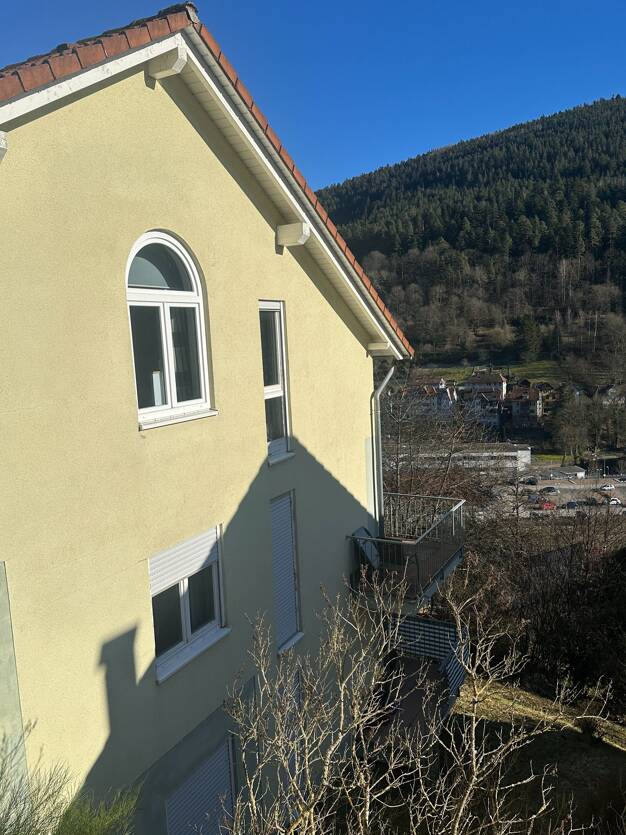 Wohnung zum Kauf 169.000 € 2 Zimmer 60 m² 2. Geschoss frei ab sofort Bad Wildbad Bad Wildbad 75323