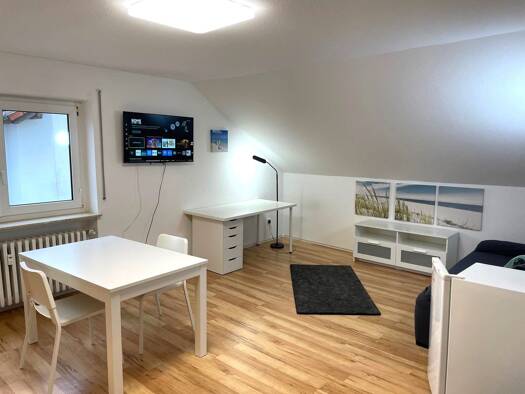 Wohnung zur Miete 530 € 1 Zimmer 36 m² Geschoss 2/3 frei ab 01.09.2026 Euerbach Euerbach 97502