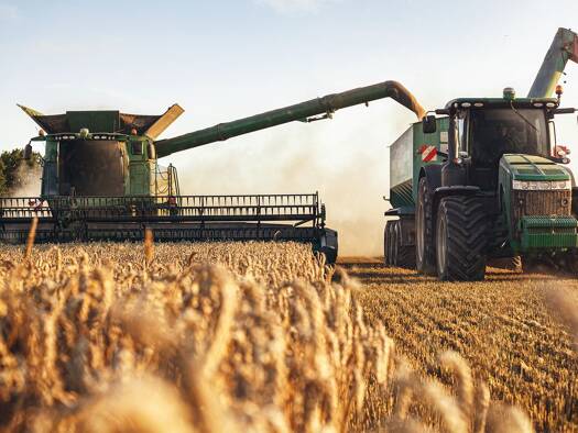 Landwirtschaftliche Fläche zum Kauf 5.000 € Höfen Stegaurach 96135