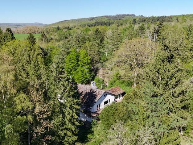 Einfamilienhaus zum Kauf 640.000 € 11 Zimmer 364 m² 8.848 m² Grundstück Usingen Usingen 61250