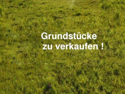 Grundstück zum Kauf Fieberbrunn 6391
