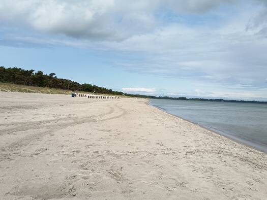 Hotel zur Miete 12 Zimmer 1.000 m² Gastrofläche 2.200 m² Grundstück Juliusruh Breege 18556