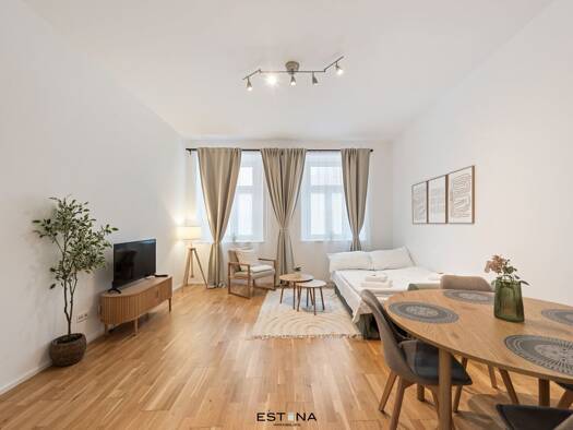 Wohnung zum Kauf 349.000 € 2,5 Zimmer 52,3 m² EG Millergasse Wien 1060
