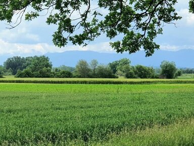 Mehrfamilienhaus zum Kauf 2.590.000 € 8 Zimmer 310 m² 1.300 m² Grundstück Weilheim Weilheim in Oberbayern 82362