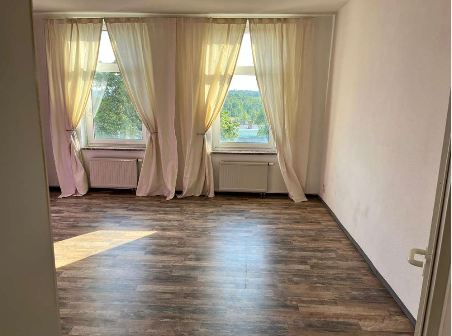 Wohnung zur Miete 390 € 3 Zimmer 88,9 m²<br/>Wohnfläche 01.01.2025<br/>Verfügbarkeit Pausaer Straße 80 Haselbrunn Plauen 08525